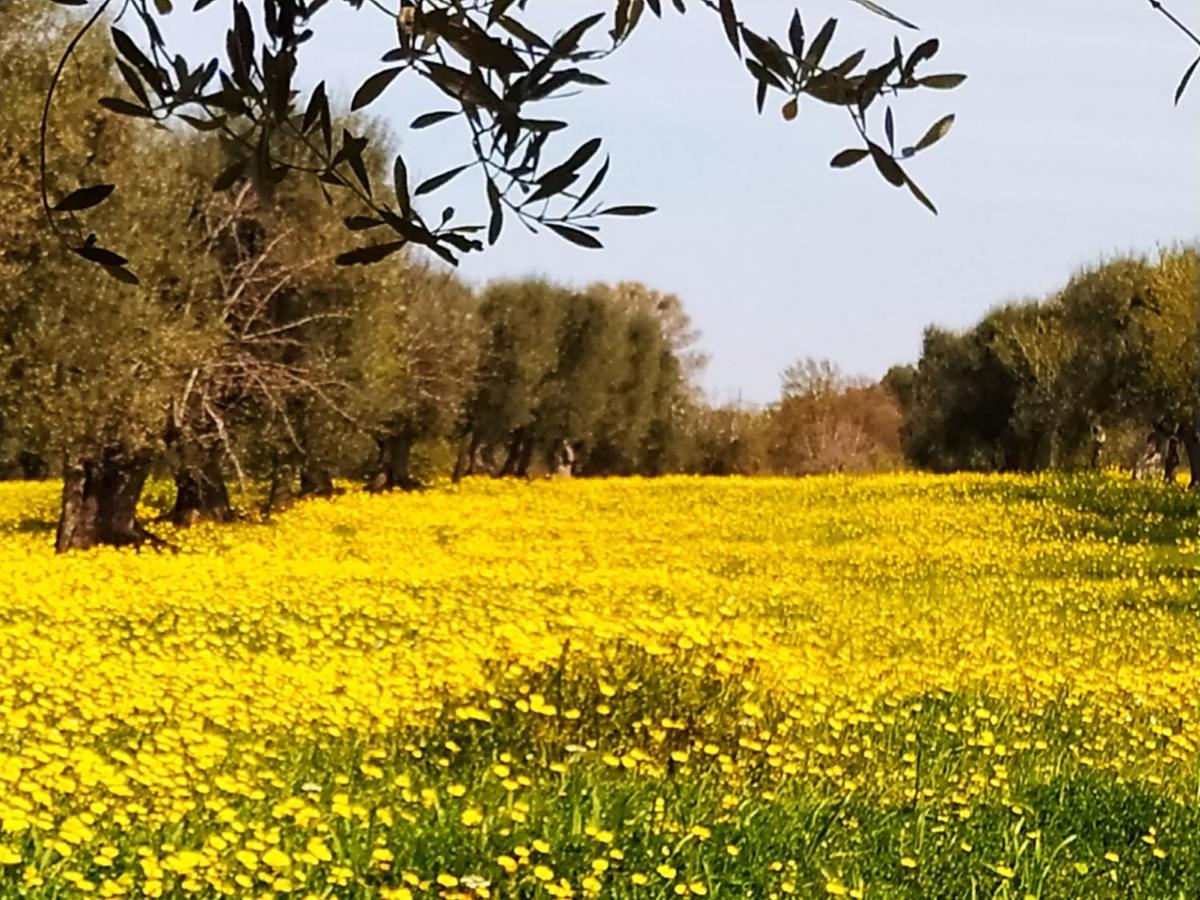 مونوبولي Masseria - Trulli Genius Loci Dimore المظهر الخارجي الصورة